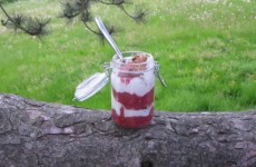 rabarberkompot