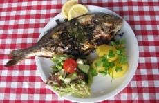dorade