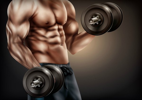 weight gainer